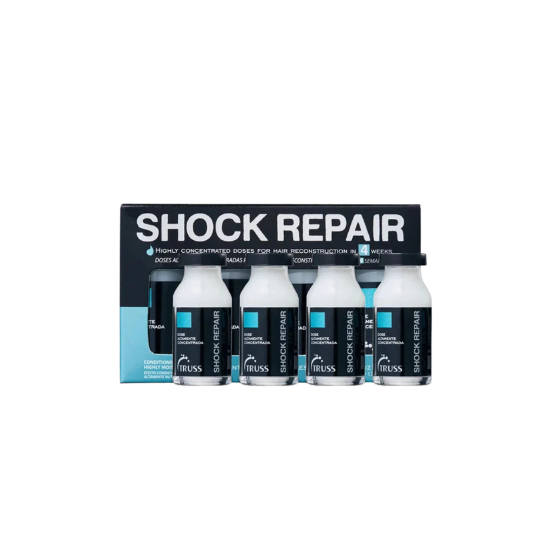SCHOCK REPAIR-SCHOCK REPAIR